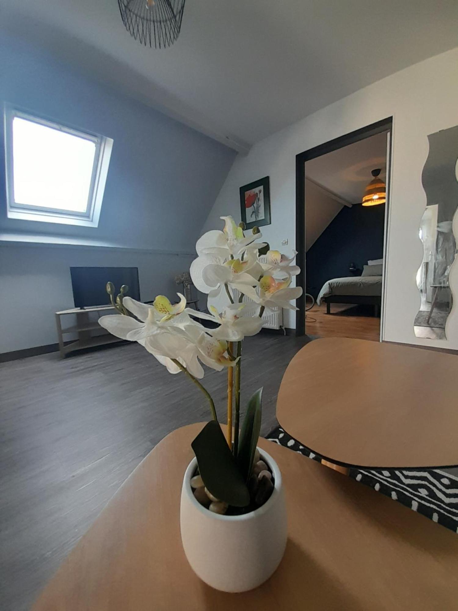 Le Bon Plan Entre Caen Et La Mer ** Draps Et Menage Inclus !** Giberville Exterior photo